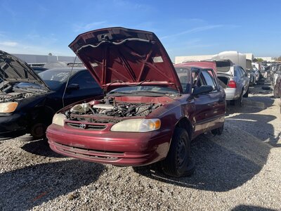 Catalog item POM063109