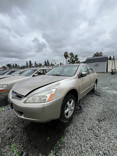 Artículo del catálogo SAC048550