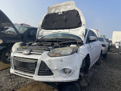 Artículo del catálogo POM061779