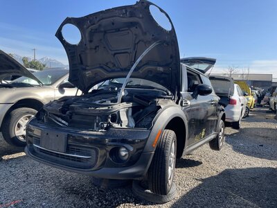 Catalog item POM062784