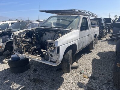 Catalog item POM061703