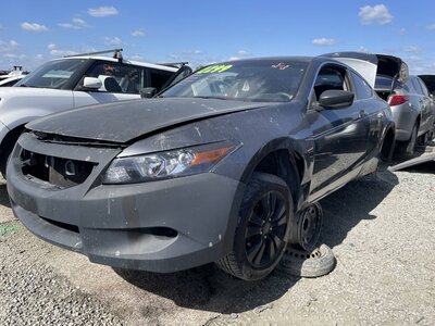 Catalog item STK056384