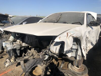 Catalog item FRE110066