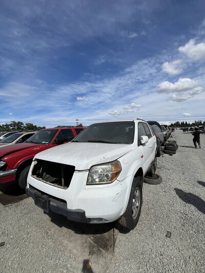 Artículo del catálogo SAC048195