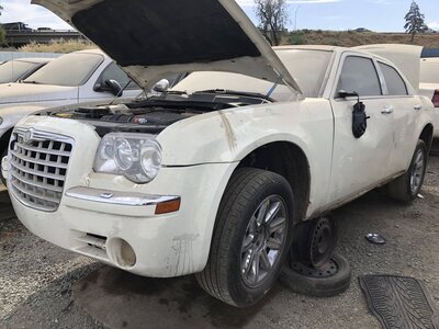 Artículo del catálogo FRE111553