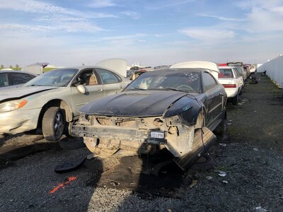 Catalog item FRE111396