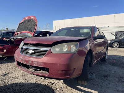 Catalog item POM062808