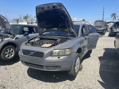 Catalog item POM063854