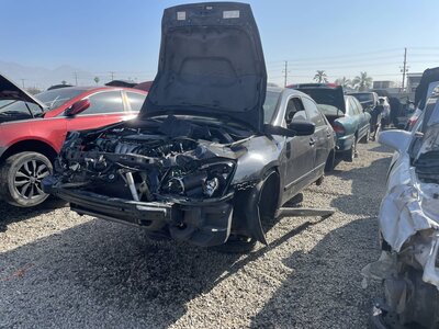 Catalog item POM063458