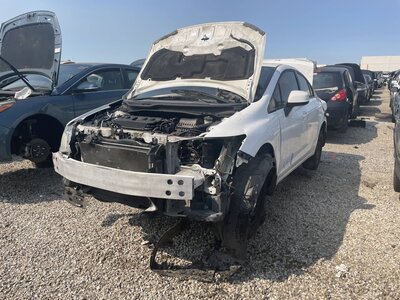 Catalog item POM063773