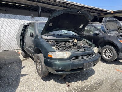 Catalog item POM063453