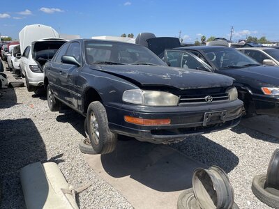 Catalog item POM063942