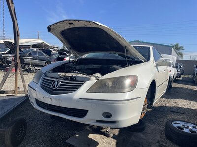 Catalog item POM062455