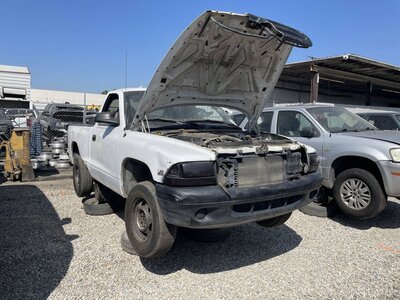 Catalog item POM063419