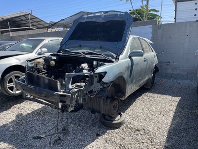 Catalog item POM063732