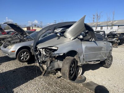 Catalog item POM062998