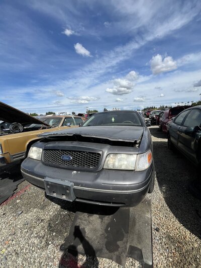 Catalog item SAC048237