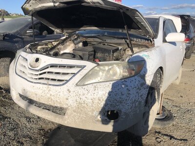 Catalog item FRE111338