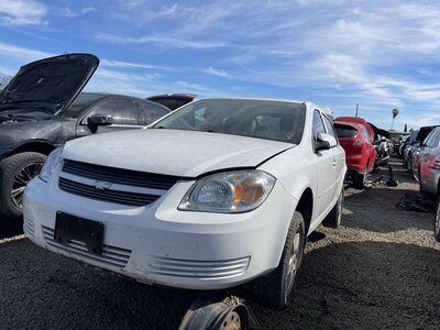 Catalog item POM062556