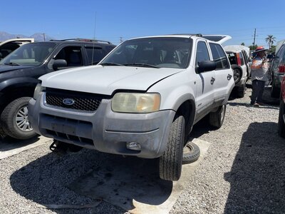 Catalog item POM063919