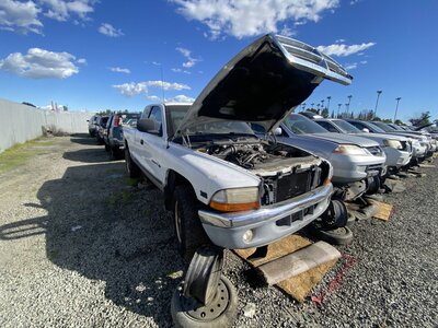 Catalog item SAC047126