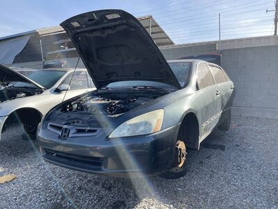 Catalog item POM063222