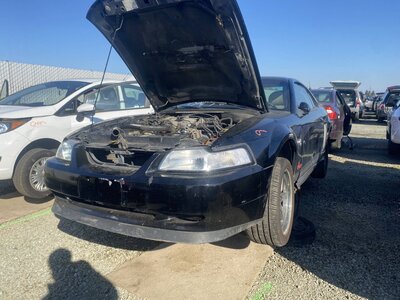 Catalog item SAC046227