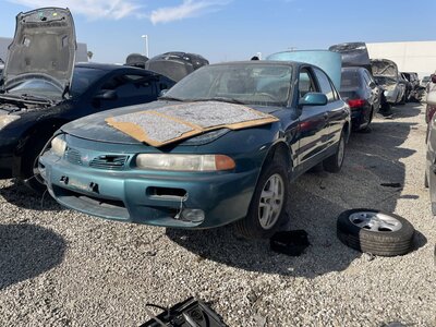 Catalog item POM063295