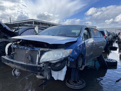 Catalog item POM060528