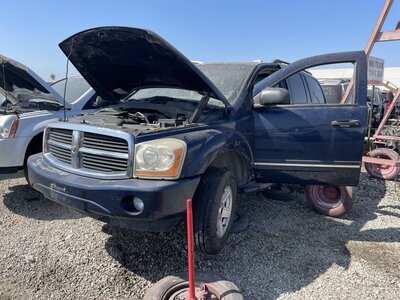 Catalog item POM063303