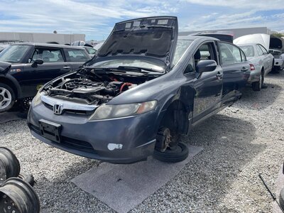 Catalog item POM063841