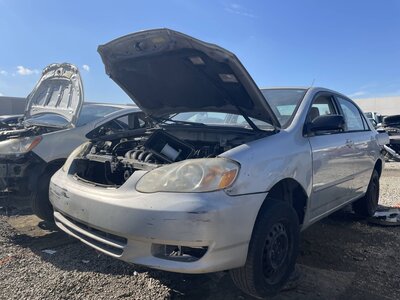 Catalog item POM062495