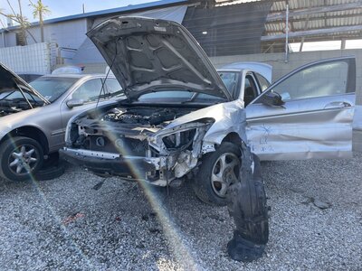 Catalog item POM063242