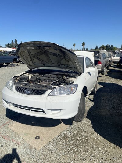 Catalog item SAC047335