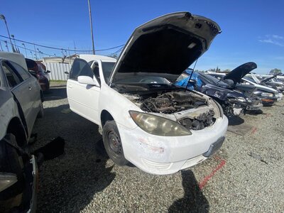 Catalog item SAC046893