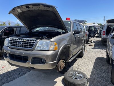 Catalog item POM063956