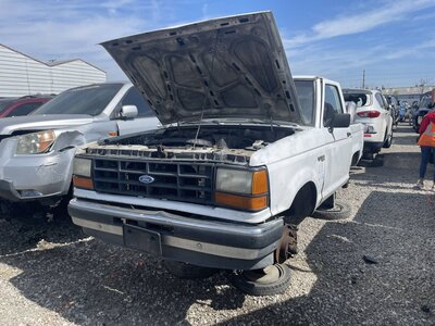 Catalog item POM062874