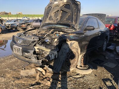 Catalog item FRE110083