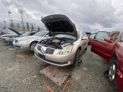 Catalog item SAC046872