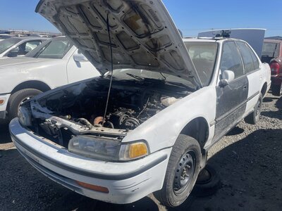 Artículo del catálogo STK056493