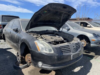 Catalog item STK056171