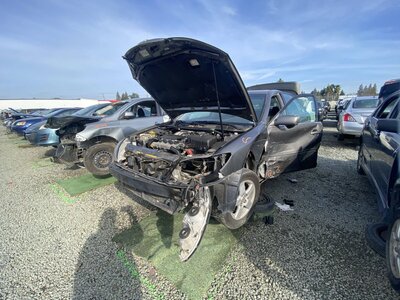 Catalog item SAC046213