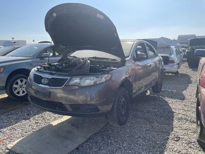 Catalog item POM063306