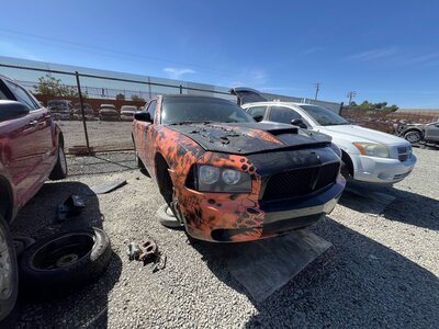 Catalog item SAC048673