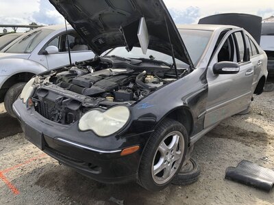 Catalog item FRE112677