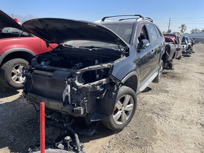 Catalog item POM062984