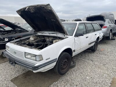 Catalog item POM063562