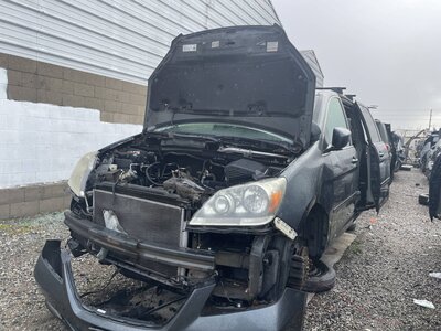 Catalog item POM062519