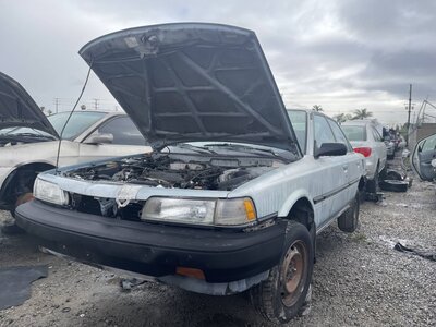 Catalog item POM062373