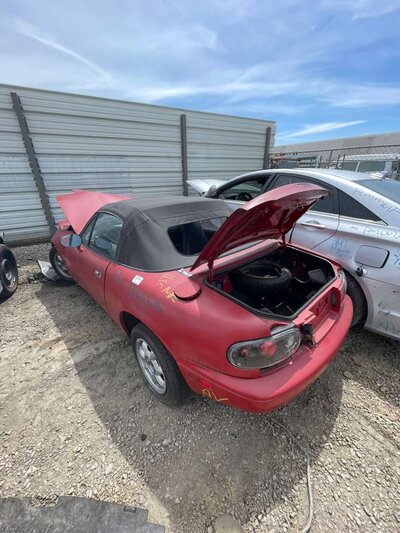 Catalog item POM063676